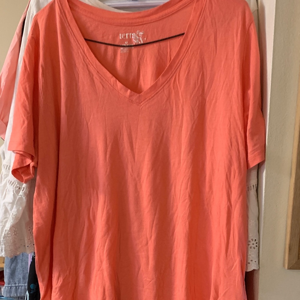 Terra & Sky Coral Short Sleeve V-Neck Top